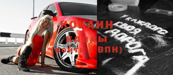 хмурый Бородино