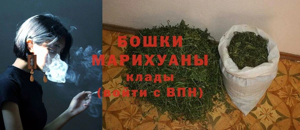прущий лед Абаза