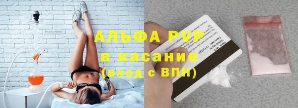 индика Сафоново